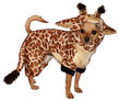 Picture of Giraffe Costume.