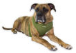 Picture of OLD STYLE - Ultra Comfort Olive Green Mesh Harness Vest