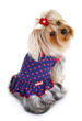 Picture of Betty Polka Dot Dress.