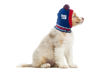 Picture of NFL Knit Pet Hat - Giants
