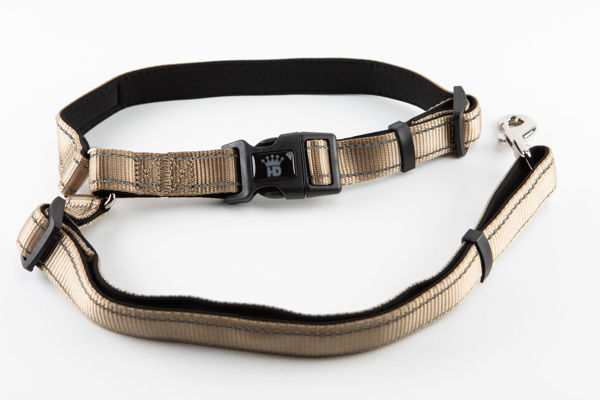 Picture of Seat Belt Leash  - Tan