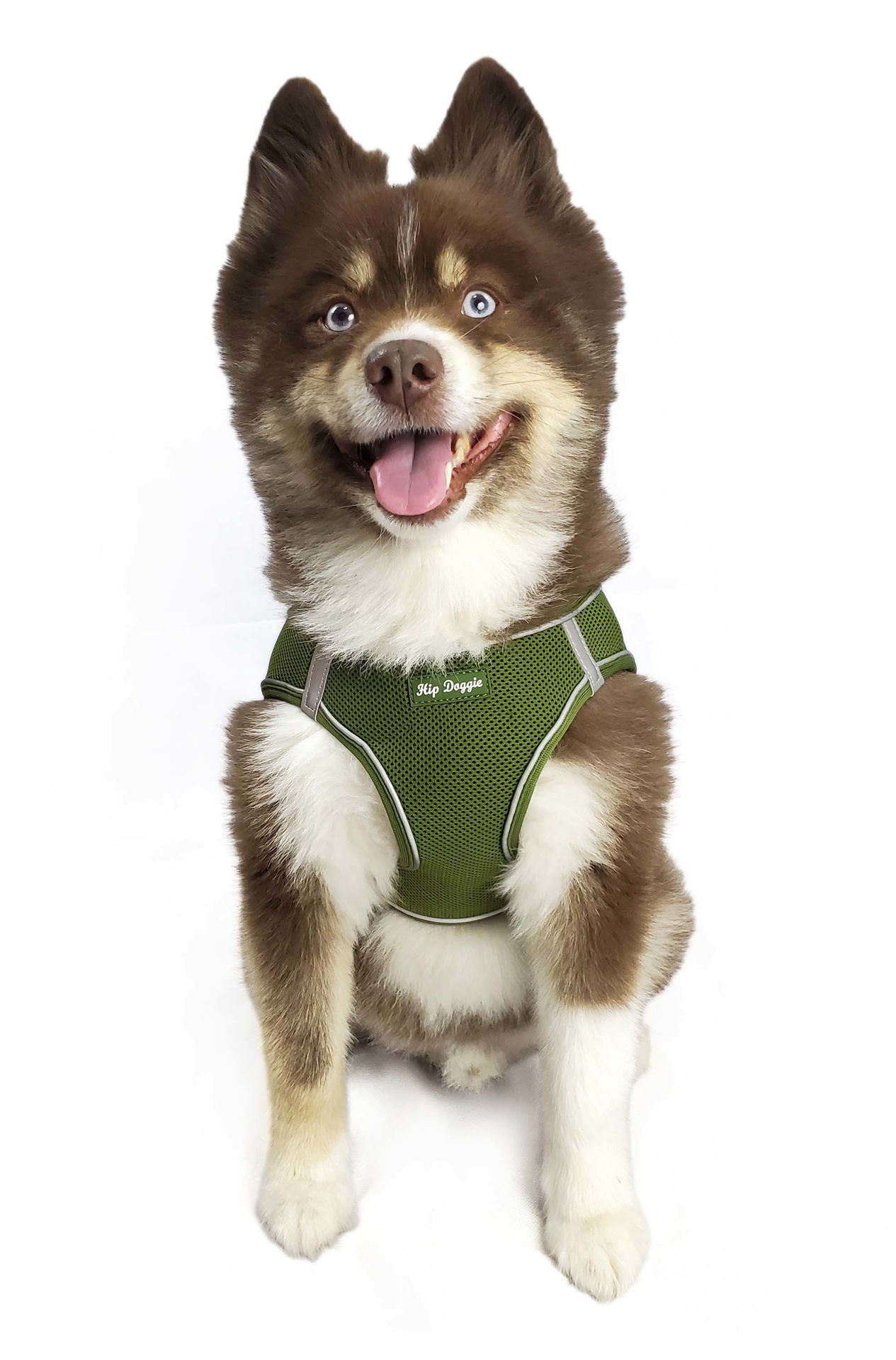 Picture of EZ Step-In Harness Vest - Green/Olive