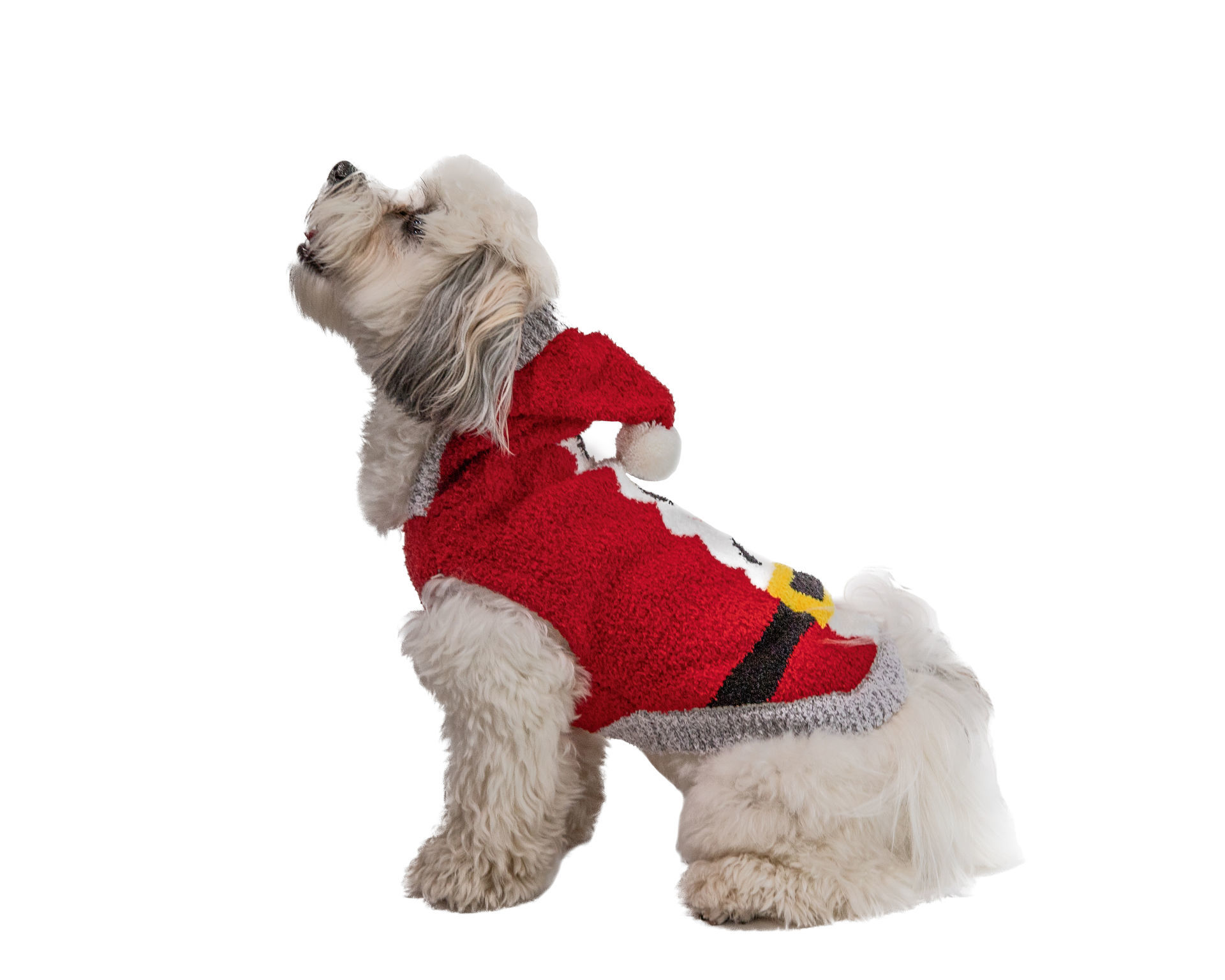 Picture of Chenille Santa Hoodie