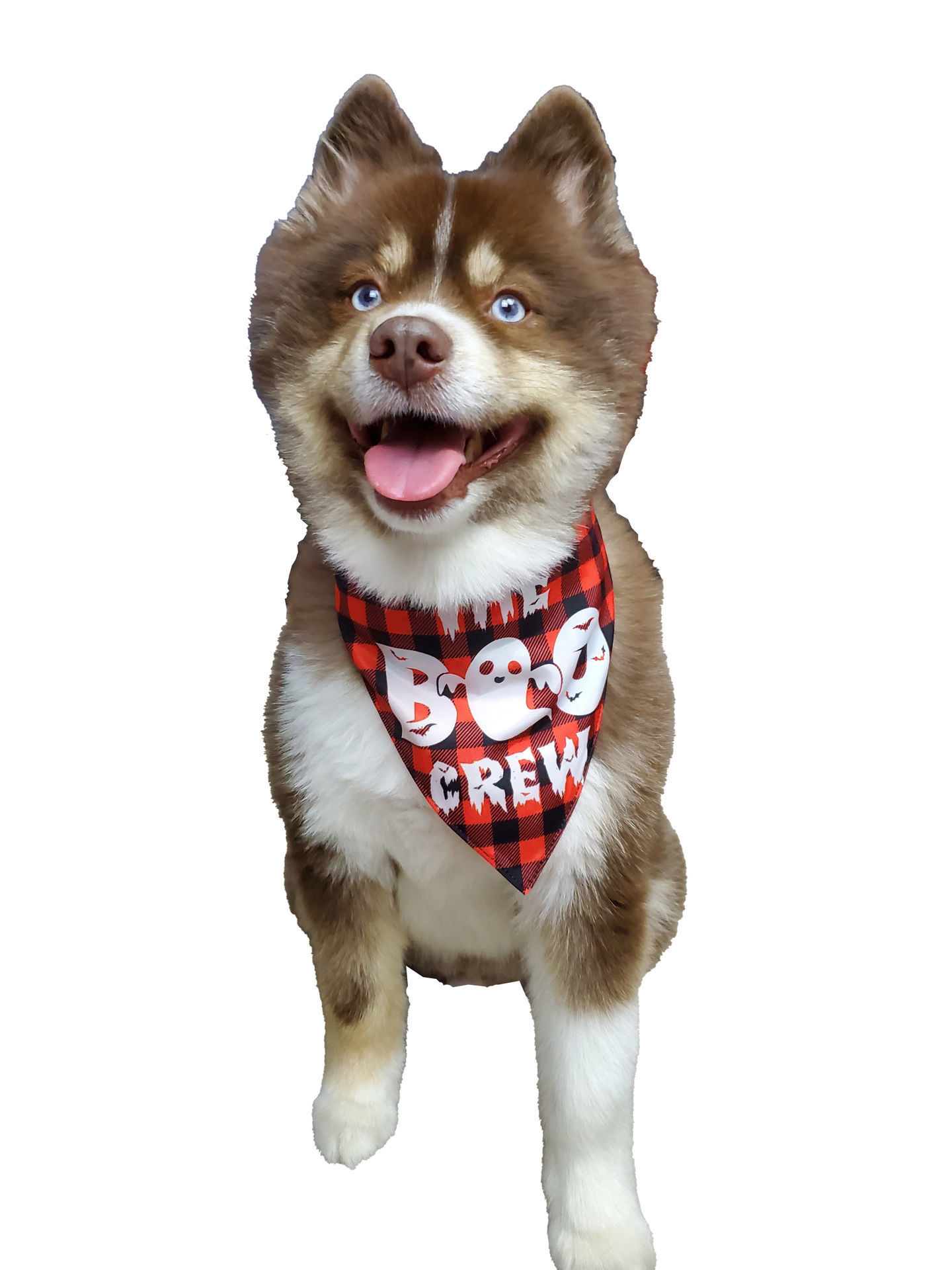Picture of Two Sided Bandana - Halloween Boo
