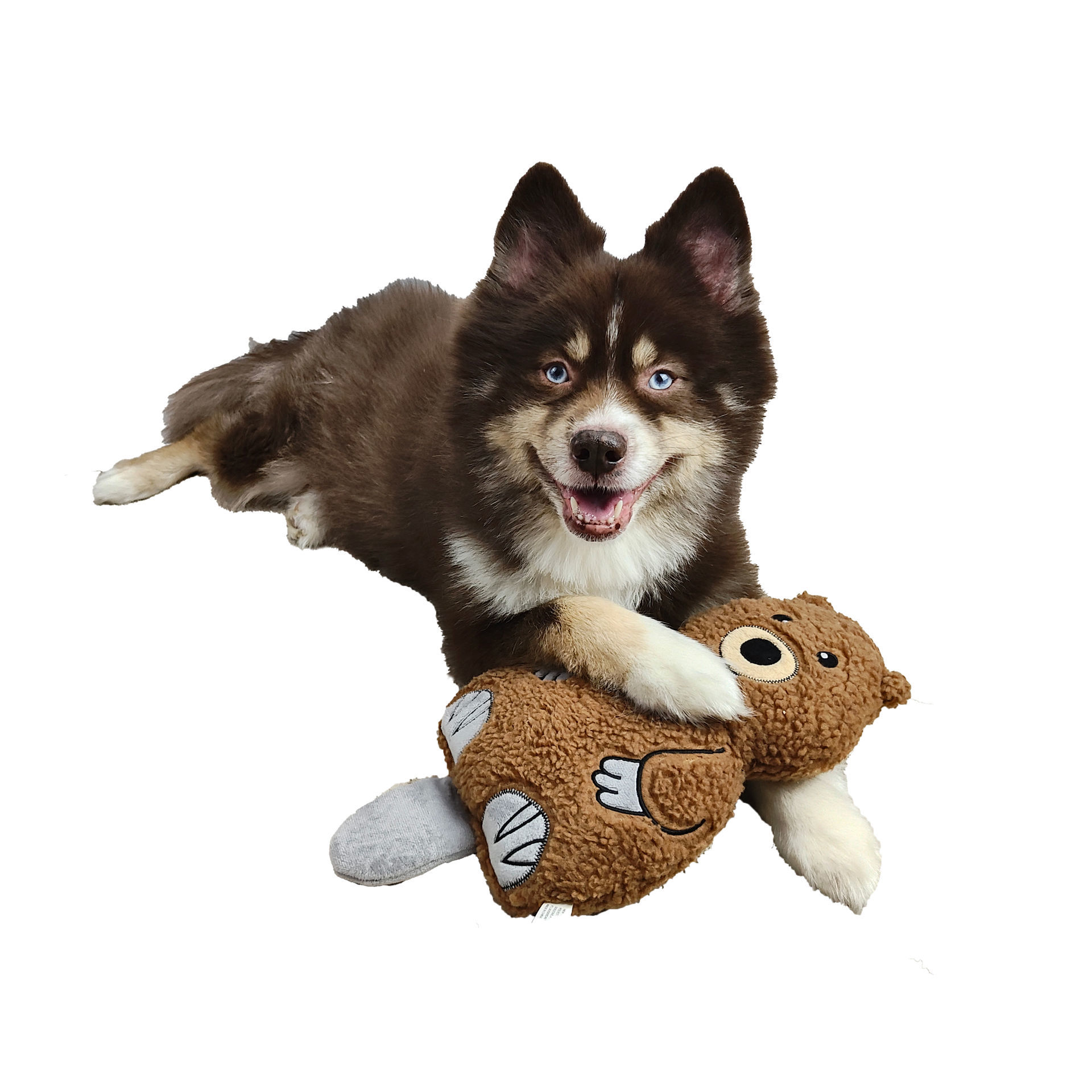 Picture of Wildlife Fleece Toy - Theo the Beaver