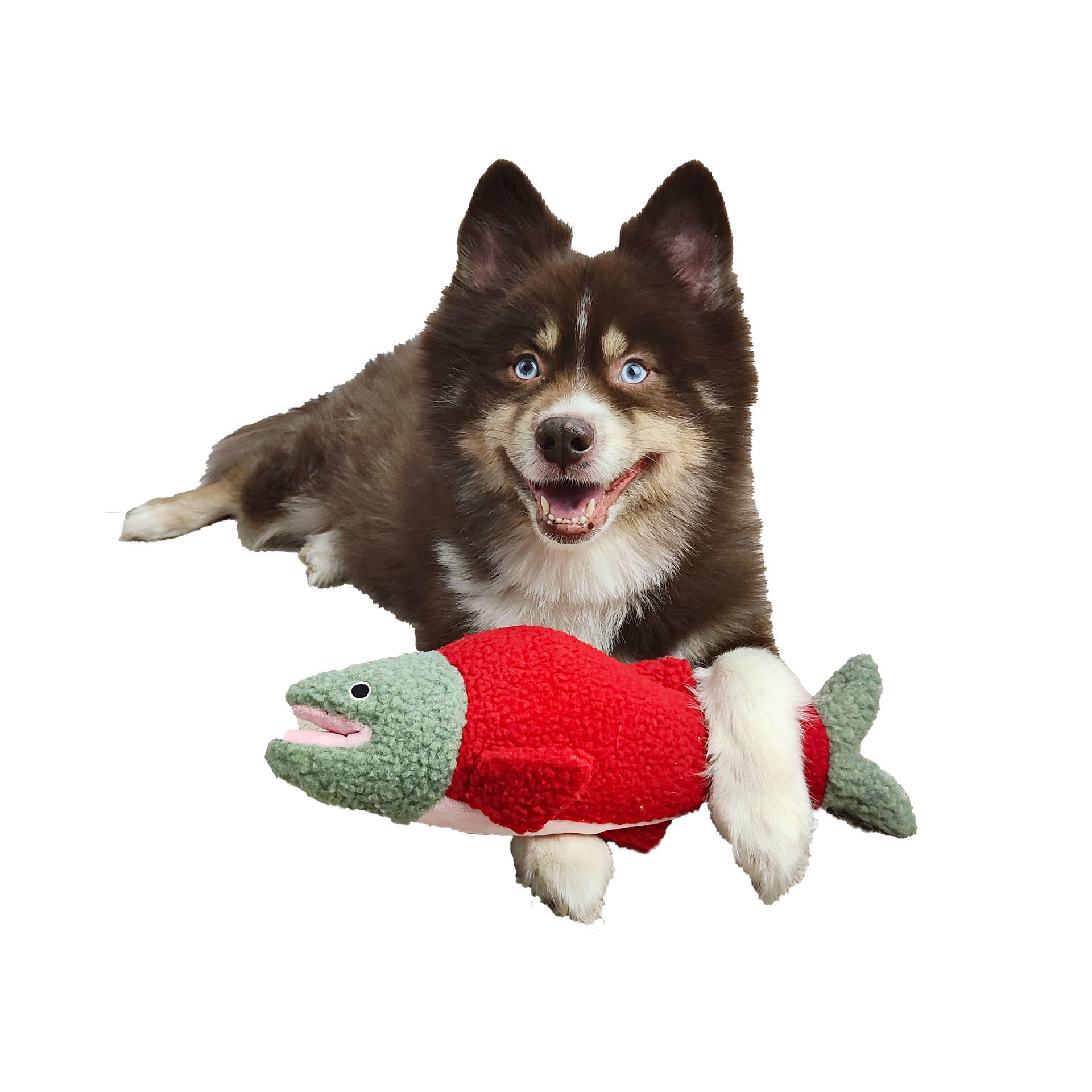 Picture of Wildlife Fleece Toy - Seymour the Salmon