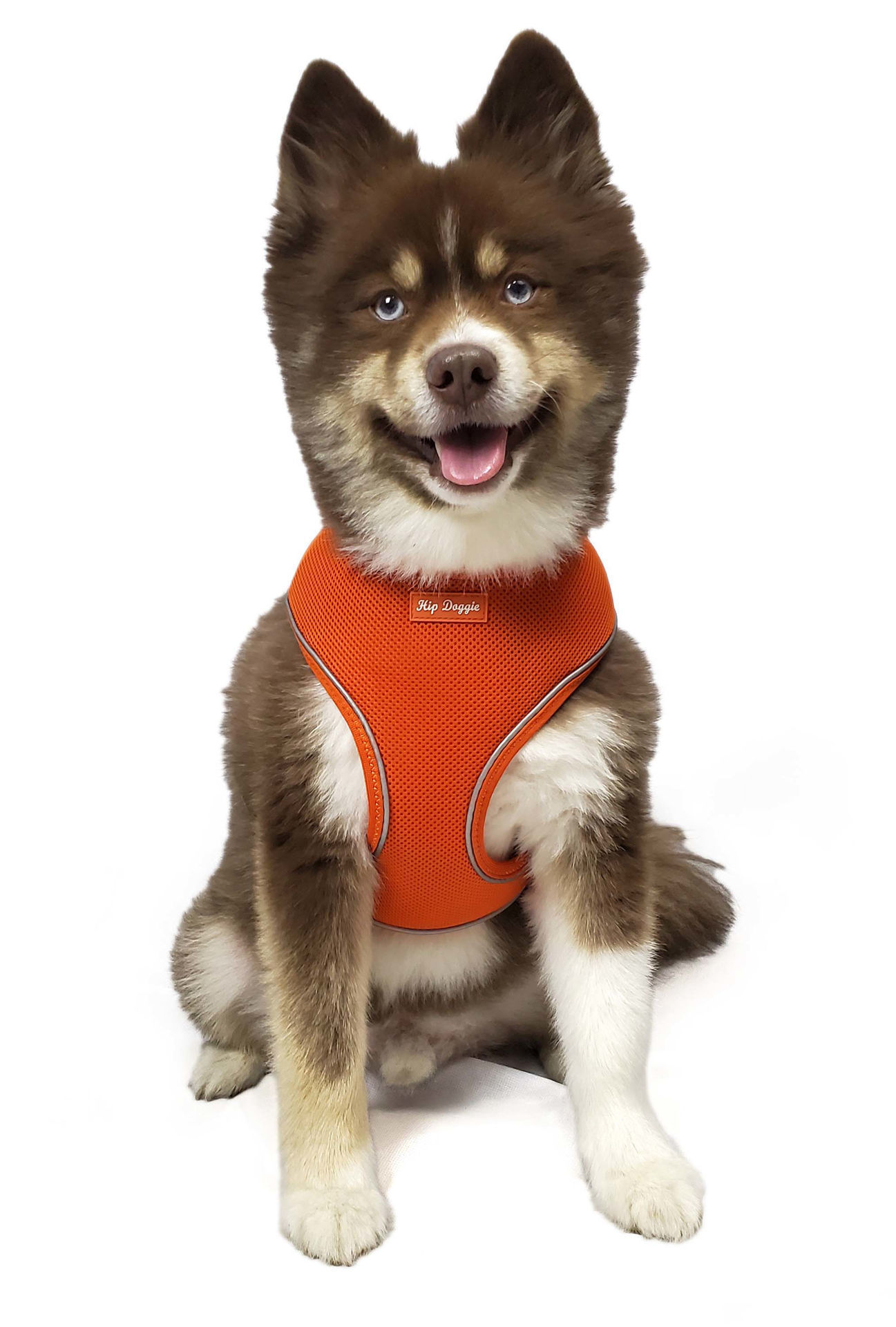 Picture of Ultra Comfort Reflective Harness Orange-Old Header