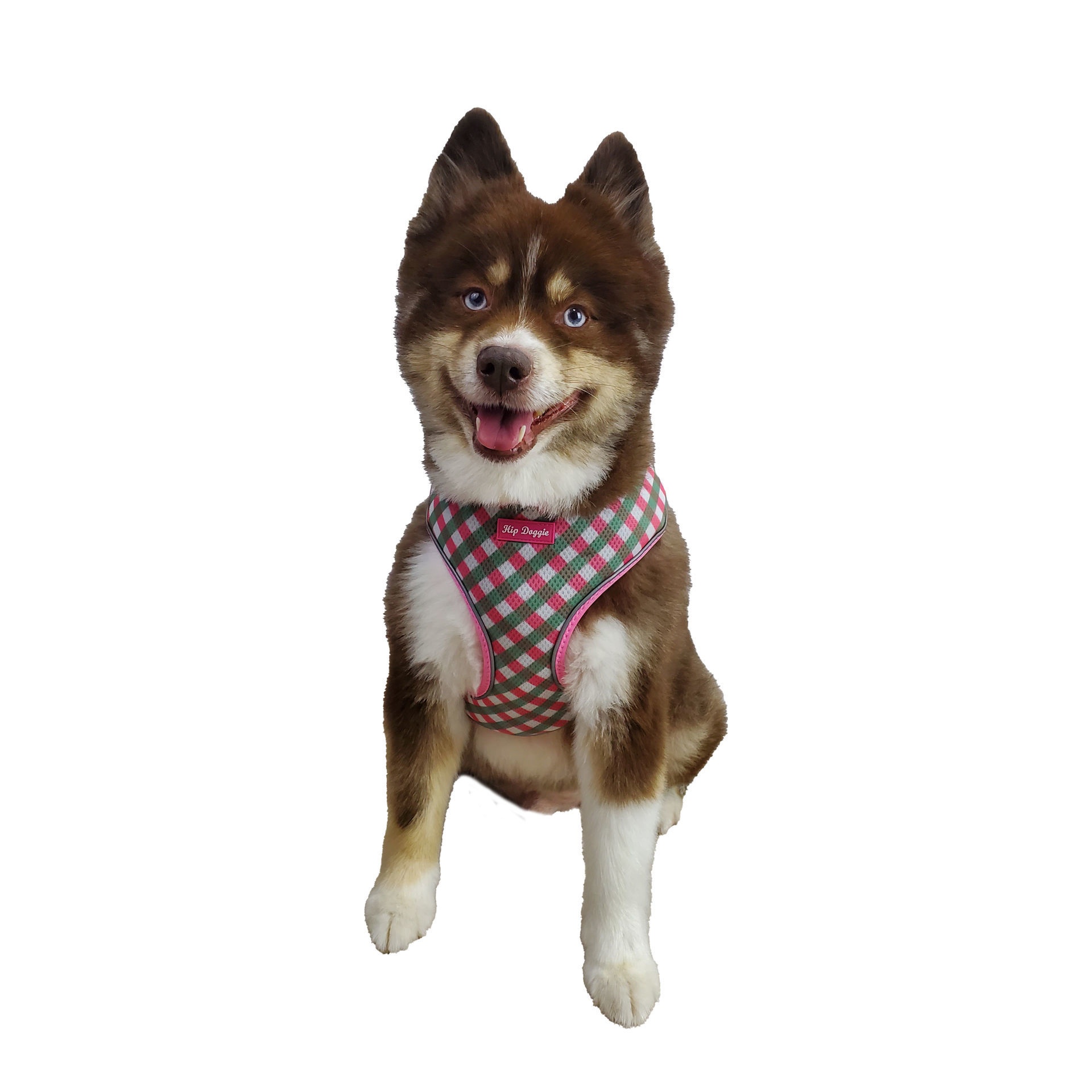 Picture of Ultra Comfort Harness - Pink/Green Check