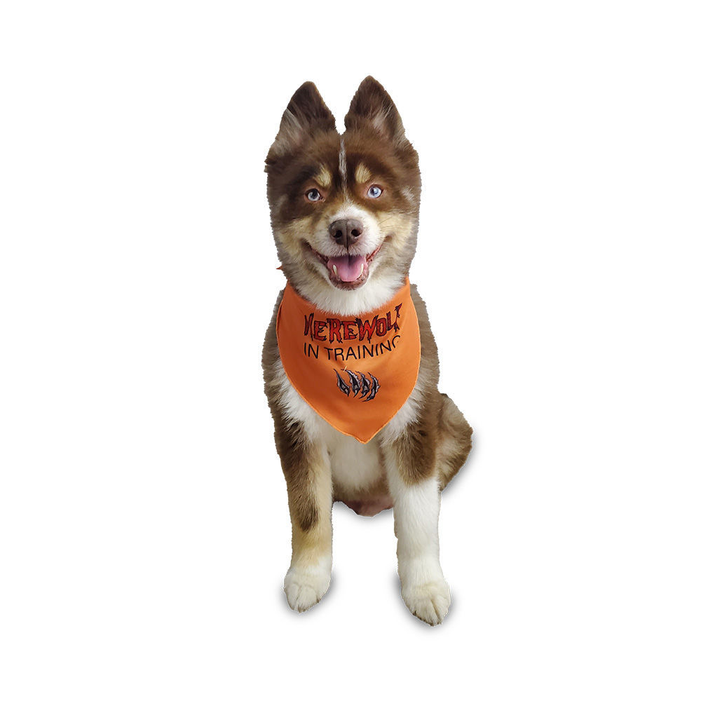 Picture of One Sided Bandana –Werewolf in Training-Tied Bandana