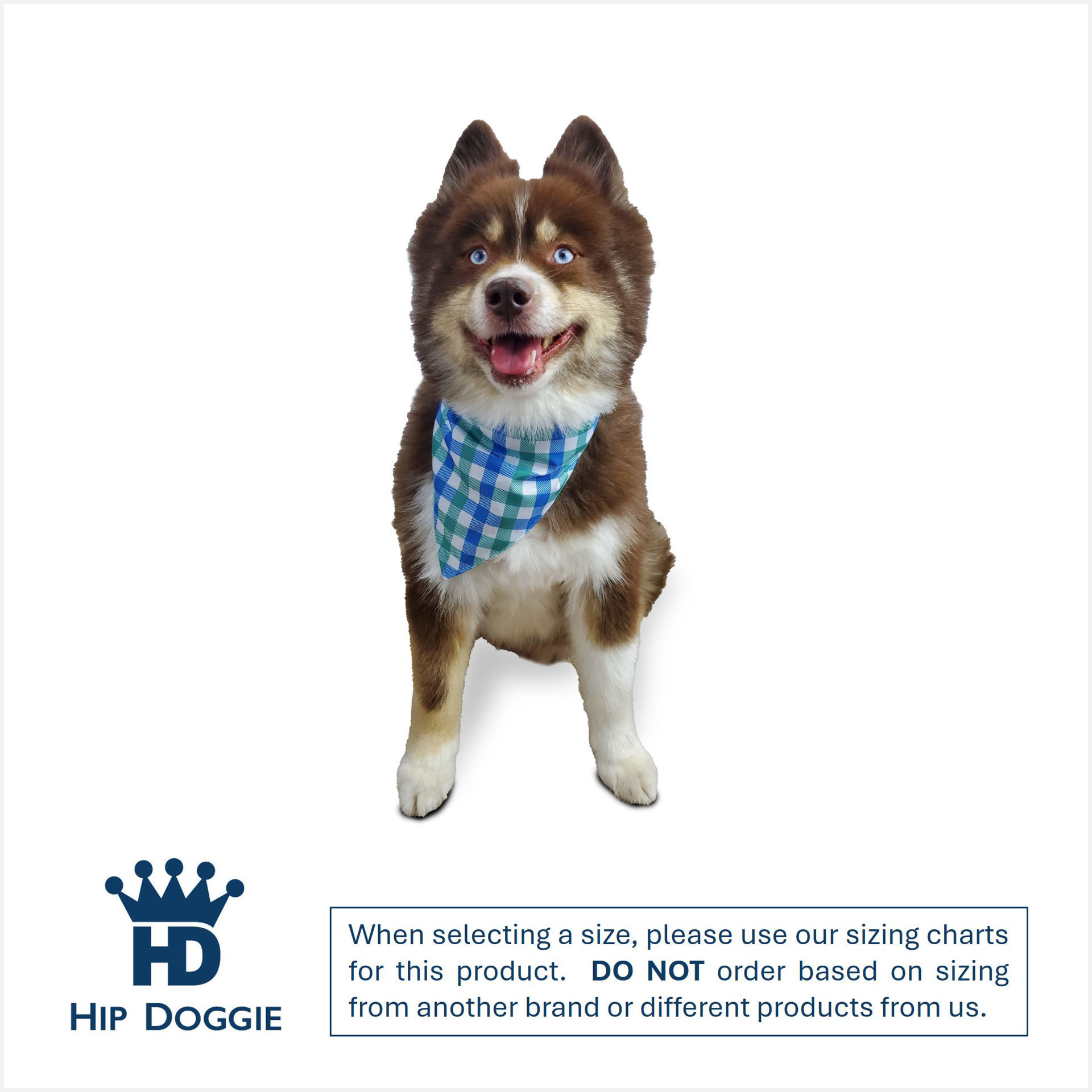 Picture of Two Sided Bandana - Nobody puts Puppy in the Corner