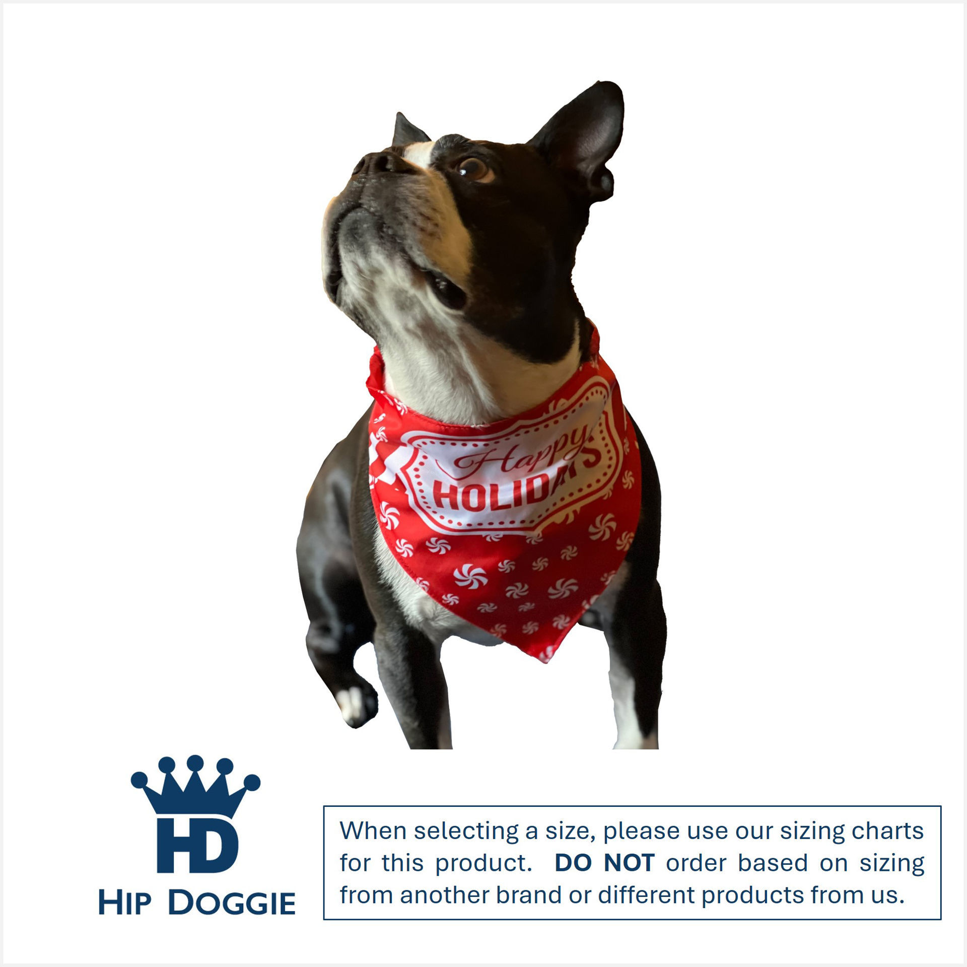 Picture of Two Sided Bandana - Happy Holidays